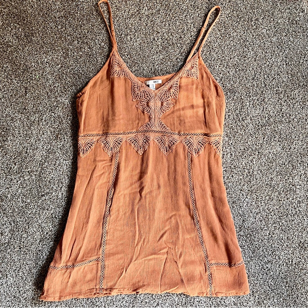 Amuse society dress